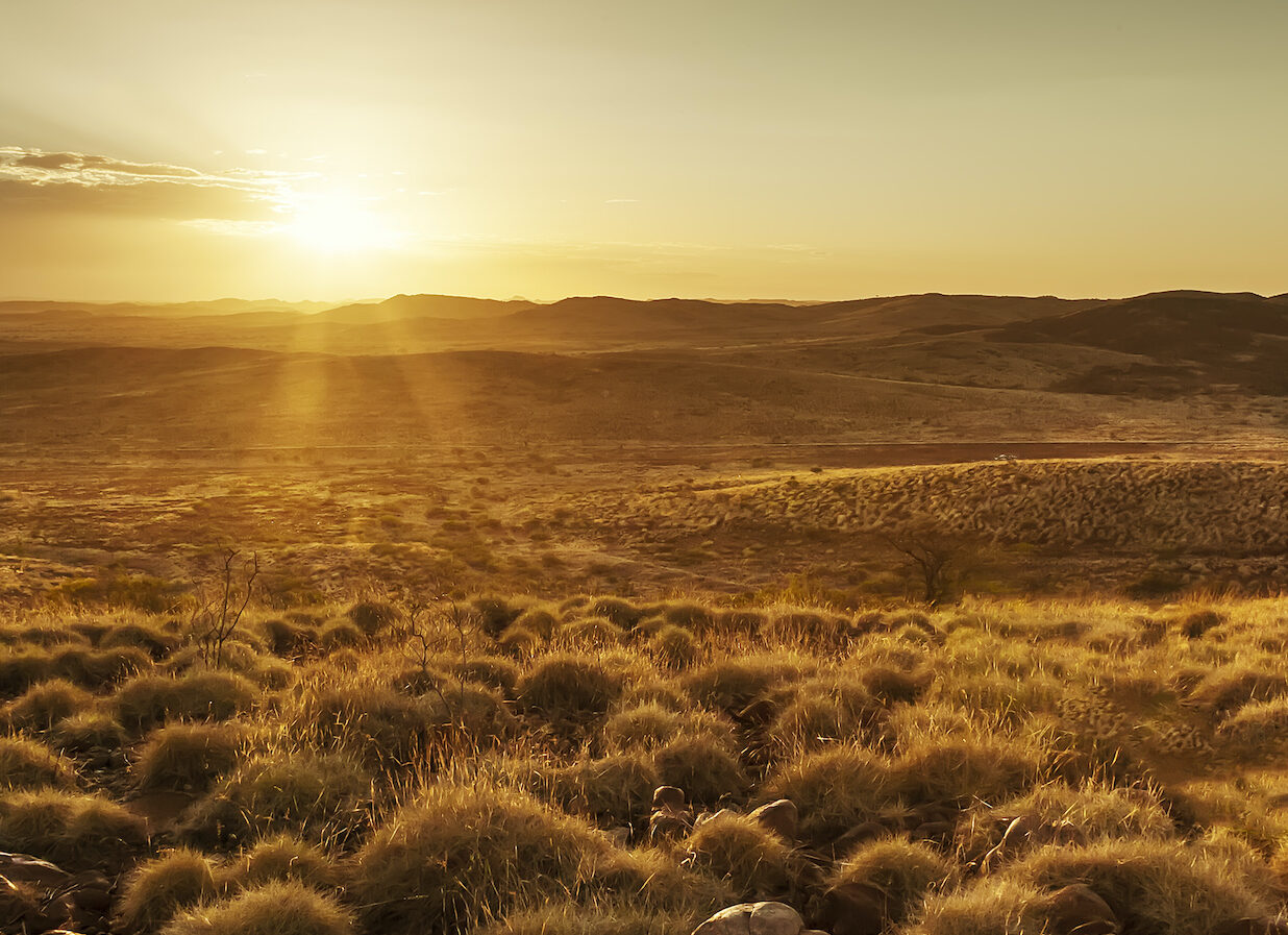 RegenCo_News_4-aspect-ratio-310-225