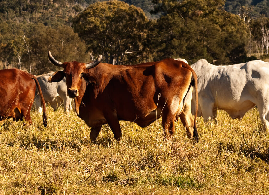 blog-image-aspect-ratio-310-225