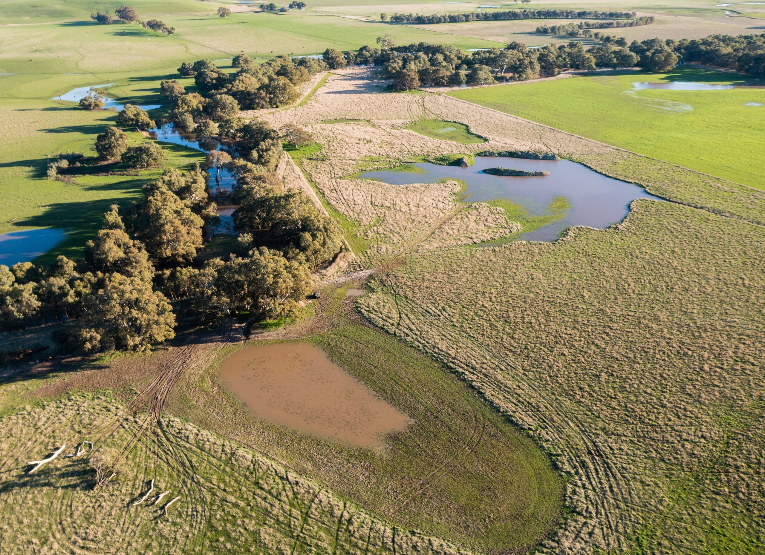 shutterstock_2036428700-scaled-aspect-ratio-310-225