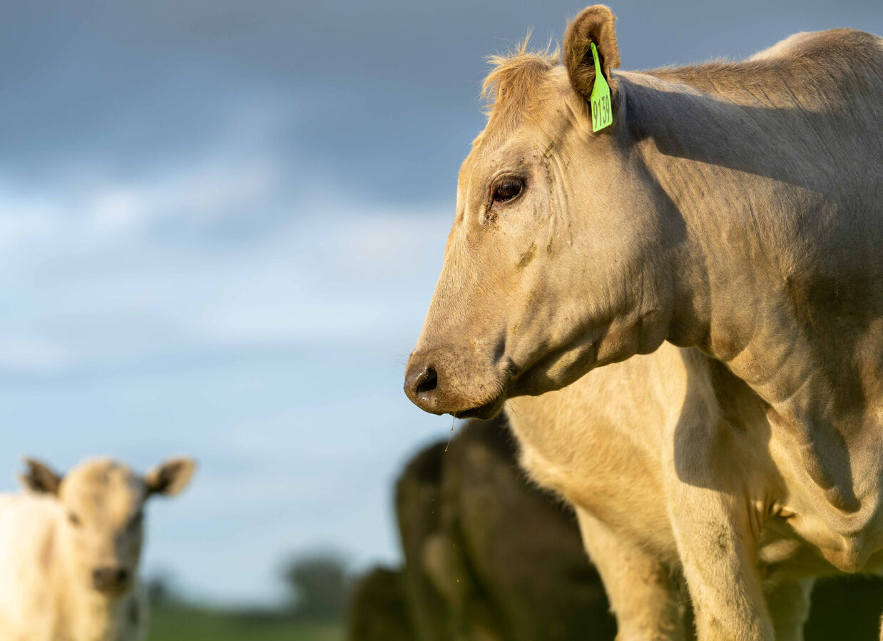 Website_NewsImage_2160x898px_20-aspect-ratio-310-225