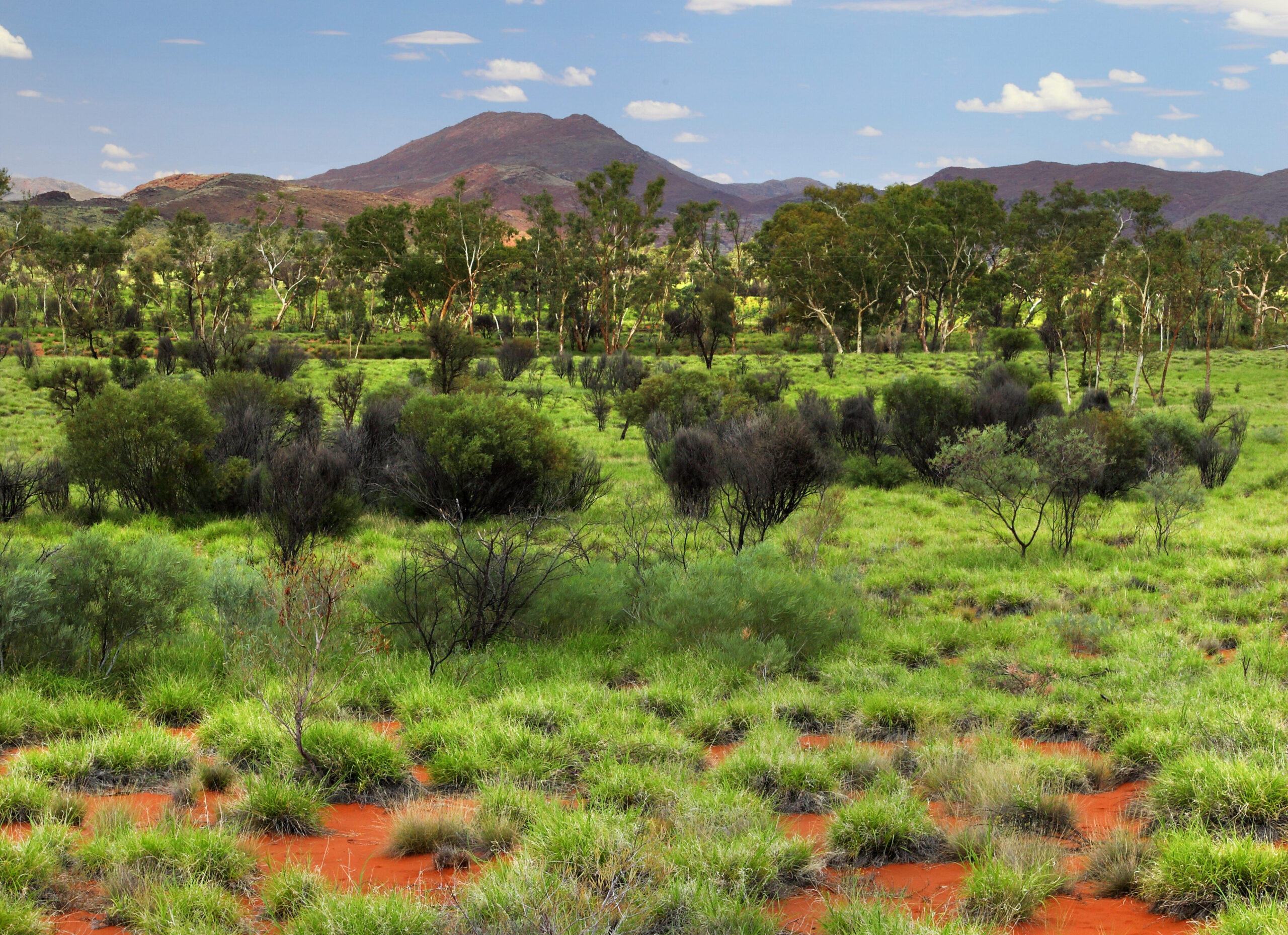 APY-L-19j062-scaled-aspect-ratio-310-225